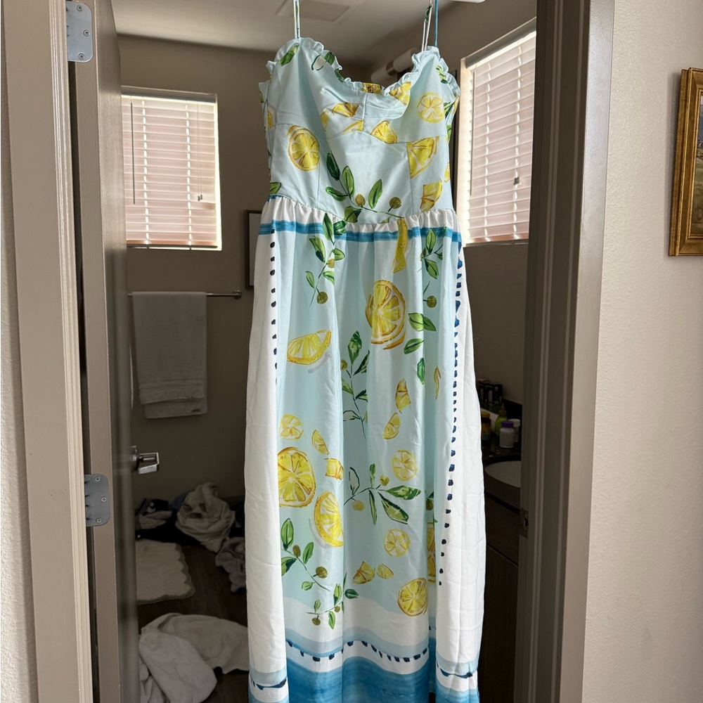 Zara Lemon Print Blue and White midi Dress